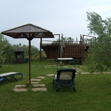 Agriturismo Il Forasacco Grosseto Exterior photo